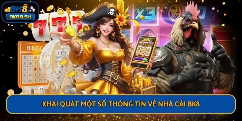 Khái quát một số thông tin về nhà cái BK8